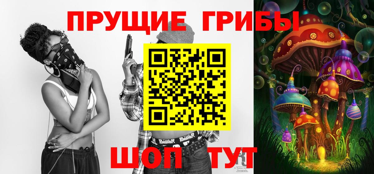 Галлюциногенные грибы Cubensis  Вход с VPN  Электрогорск 
