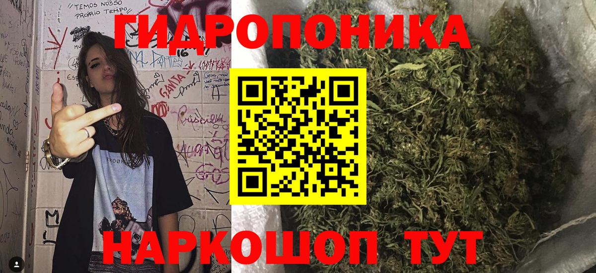 Шишки марихуана Ganja Электрогорск